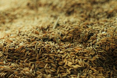 Close-up photograph of rice grains