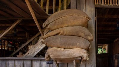 Pile of brown burlap sacks stacked inside a barn